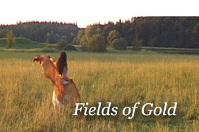 Fields of gold